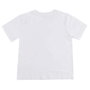 Cerdá Camiseta Corta Single Jersey Marvel 8 Años - Modelos surtidos