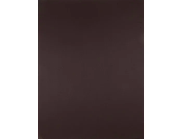 Liderpapel Cartulina 50x65 cm Marron Oscuro 240 gr Unidad