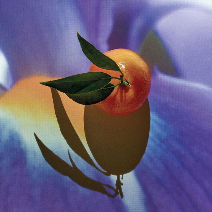 Loewe SOLO ELIXIR Eau de Parfum Vaporizador 50 ml Hombre