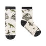 Pack Calcetines 3 Piezas Jurassic Park Multicolor 27-30