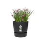 Elho Greenville 47 Maceta Redonda para Exterior Ø 47 x H 44,1 cm Negro Living Plástico Reciclado Resistente a Heladas