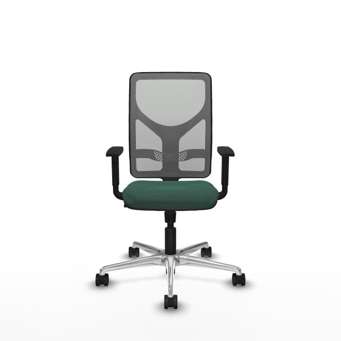 PIQUERAS Y CRESPO Silla de oficina Motilla con mecanismo Sincro, Verde botella y Gris PIQUERAS Y CRESPO Silla de oficina Motilla con mecanismo Sincro, Verde botella y Gris