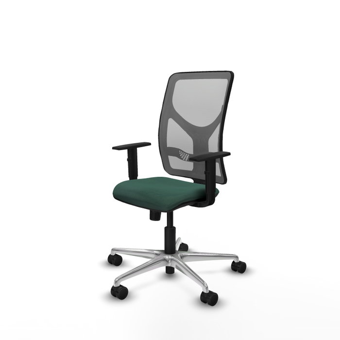 PIQUERAS Y CRESPO Silla de oficina Motilla con mecanismo Sincro, Verde botella y Gris PIQUERAS Y CRESPO Silla de oficina Motilla con mecanismo Sincro, Verde botella y Gris