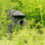 Buteo Buteo Mark III Photo Blind Green