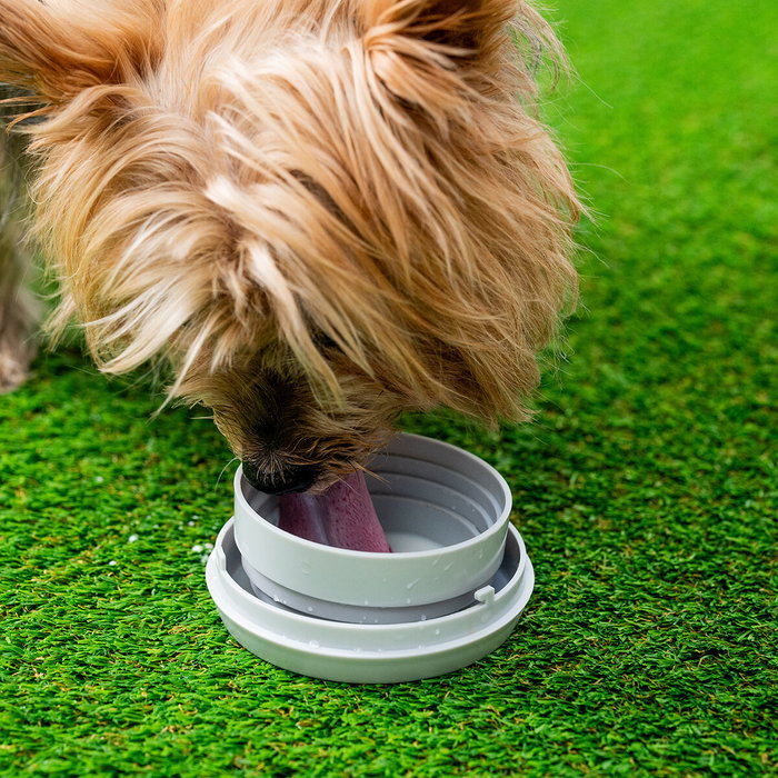 Correa Retráctil para Perros 6 en 1 Leashic InnovaGoods Correa Retráctil para Perros 6 en 1 Leashic InnovaGoods