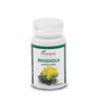 PLANTAPOL Rhodiola 45 cápsulas