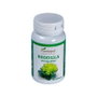 PLANTAPOL Rhodiola 45 cápsulas