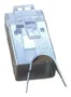 Equip Conector RJ45 Cat8.1 Blindado Plata (50 unidades)