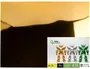 Liderpapel Cartulina Metalizada Oro 50x65 cm 235g/m2