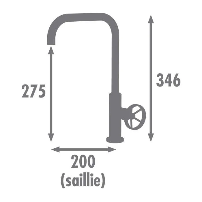 Edouard Rousseau Mezclador Fregadero Industrial Negro con Caño Móvil Cartucho 25 mm