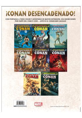 Panini España S.A. La Espada Salvaje de Conan 10 (Limited Edition)