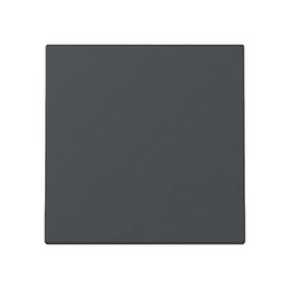 GIRA 329628 Wippe System 55 Placa Frontal Antracita