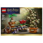 LEGO Harry Potter Plantas de la clase de Herbología de Hogwarts 76474