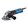 Bosch GWS 17-125 SB PROFESSIONAL Amoladora Angular 1700 W