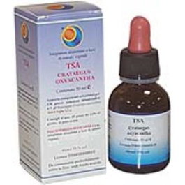 HERBOPLANET TSA Crataegus Oxyacantha Extracto de Espino Blanco Flores 50 ml - Complemento para Función Cardiovascular, Presión Arterial y Bienestar Mental