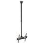 InLine Soporte de techo para LED/LCD/Plasma 32-55 pulgadas