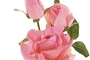 DKD Home Decor Flor Rosa Coral Seda PE 18 x 73 x 18 cm Tacto Real 12 Unidades