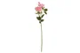 DKD Home Decor Flor Rosa Coral Seda PE 18 x 73 x 18 cm Tacto Real 12 Unidades
