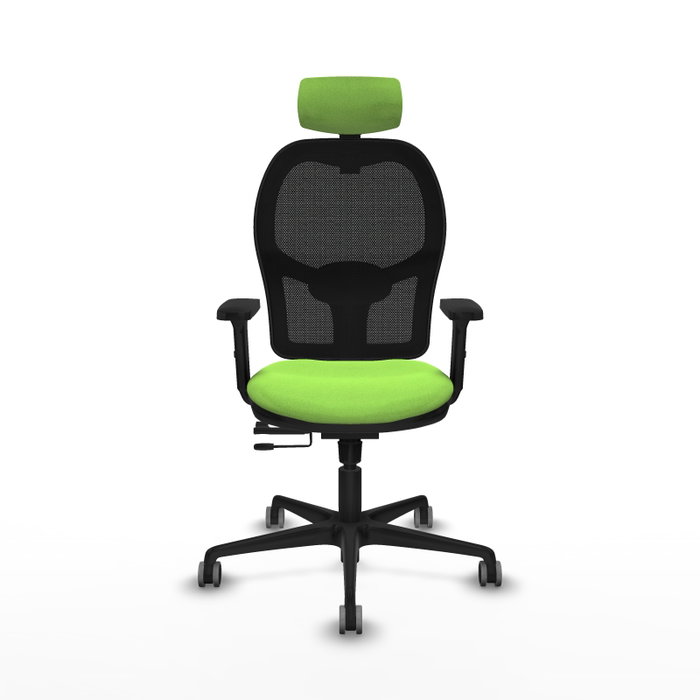 PIQUERAS Y CRESPO Silla de oficina Jorquera con mecanismo Sincro/Traslack, Tela Pistacho y Malla Negra PIQUERAS Y CRESPO Silla de oficina Jorquera con mecanismo Sincro/Traslack, Tela Pistacho y Malla Negra
