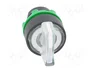 SCHNEIDER ELECTRIC Interruptor rotativo Harmony XB5 Blanco con LED