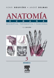 MASSON EDITORIAL Anatomia humana descriptiva topografica funcional:miembros