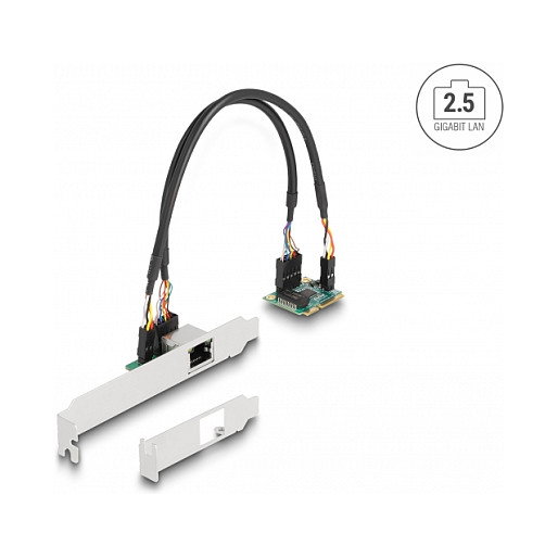 DeLOCK 95271 Tarjeta de red Mini PCIe I/O 2,5 Gigabit LAN 1 x RJ45