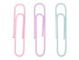 Pincello Clips 25 Piezas Grande Surtidos Colores 8x13x2 cm (Set de 48)
