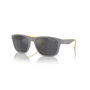 Armani Exchange AX4135S-81806G Gafas de sol Gris