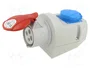 SEZ DK IZVZ-S 1643 Tomacorriente Hembra 16A 400V AC 4P 6H