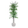 DKD Home Decor Árbol Decorativo Ficus Verde de Madera y Poliéster