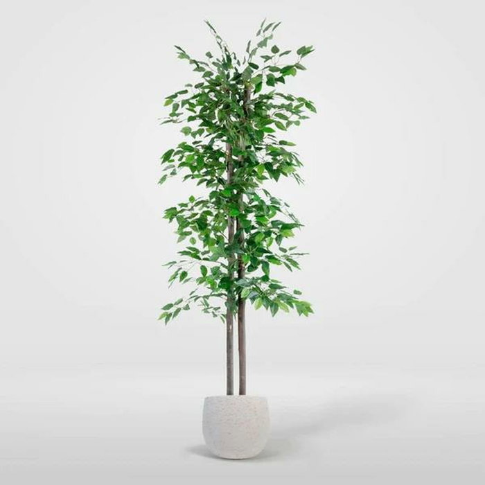 DKD Home Decor Árbol Decorativo Ficus Verde de Madera y Poliéster DKD Home Decor Árbol Decorativo Ficus Verde de Madera y Poliéster