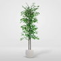 DKD Home Decor Árbol Decorativo Ficus Verde de Madera y Poliéster