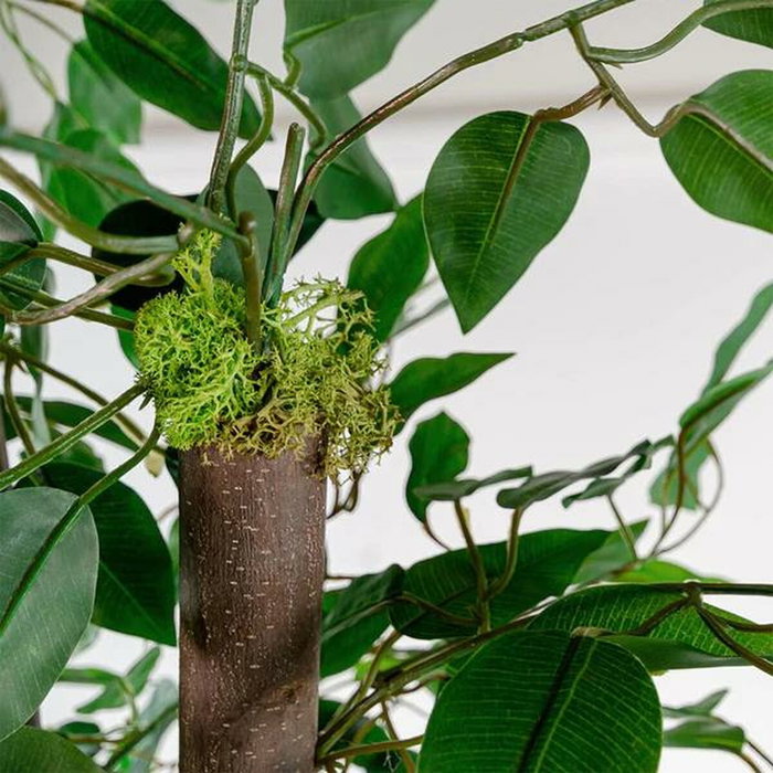 DKD Home Decor Árbol Decorativo Ficus Verde de Madera y Poliéster DKD Home Decor Árbol Decorativo Ficus Verde de Madera y Poliéster