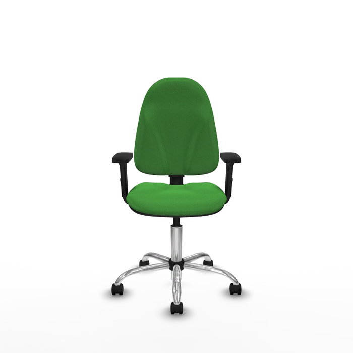 PIQUERAS Y CRESPO Silla de oficina Algarra Verde con Brazos 2D PIQUERAS Y CRESPO Silla de oficina Algarra Verde con Brazos 2D