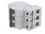 ETI POLAM Interruptor magnetotérmico ETIMAT P10 3P C63 63A 10kA