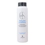 Lendan CS Peeling Control Champú