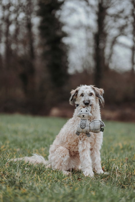 Hunter Juguete Zorro 23 cm Beige de Lana y Poliéster Reciclado para Perros Hunter Juguete Zorro 23 cm Beige de Lana y Poliéster Reciclado para Perros