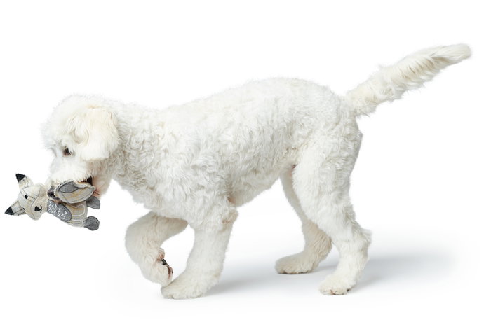 Hunter Juguete Zorro 23 cm Beige de Lana y Poliéster Reciclado para Perros Hunter Juguete Zorro 23 cm Beige de Lana y Poliéster Reciclado para Perros