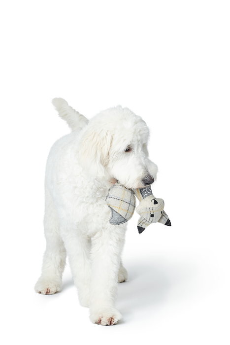 Hunter Juguete Zorro 23 cm Beige de Lana y Poliéster Reciclado para Perros Hunter Juguete Zorro 23 cm Beige de Lana y Poliéster Reciclado para Perros