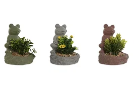 DKD Home Decor Surtido de 3 Macetas de Cemento con Diseño de Rana