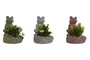 DKD Home Decor Surtido de 3 Macetas de Cemento con Diseño de Rana
