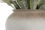 DKD Home Decor Planta PE Magnesia 60x60x100 con Macetero 32x32x30