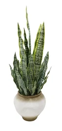 DKD Home Decor Planta PE Magnesia 60x60x100 con Macetero 32x32x30