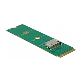 DeLOCK 64040 Convertidor M.2 Key M a 1 x OCuLink SFF-8612