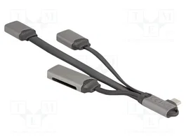 DeLOCK Hub USB 64303 con lector de tarjetas SD/Micro SD y USB Type-C gris