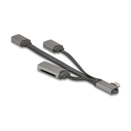 DeLOCK 64303 - Hub USB 3.2 Gen 1 Tipo C con Lector de Tarjetas SD/MicroSD, 2 Puertos USB 3.1/2.0, 5 Gbit/s, Gris Metal, Plug & Play