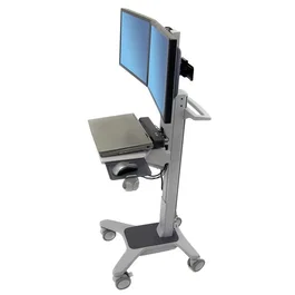 Ergotron Neo-Flex Dual WideView Gris