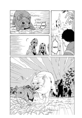 The Walking Cat (2A Edicion)