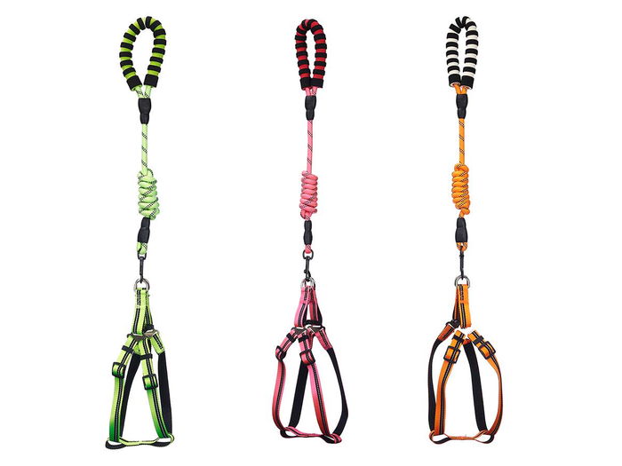 Mascow Correa para Mascota Reflectante 1,2 m Arnés Disponible en Naranja, Rosa y Verde (Set de 12)