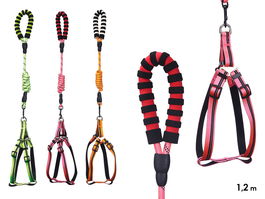 Mascow Correa para Mascota Reflectante 1,2 m Arnés Disponible en Naranja, Rosa y Verde (Set de 12)